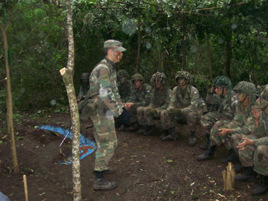 instruccion_varias_101.jpg